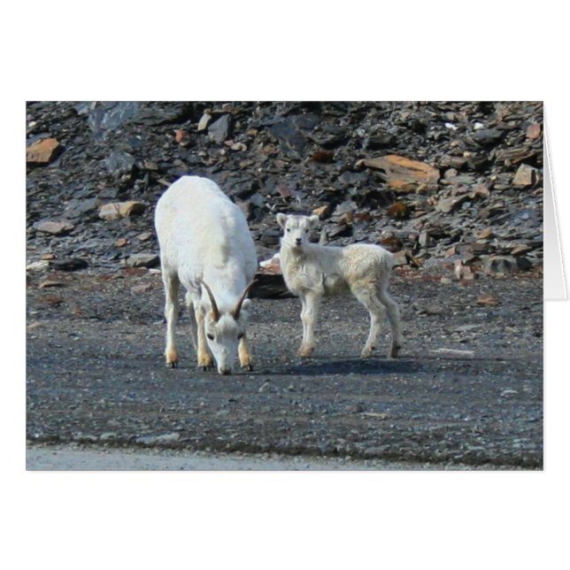 Tore der arktischen Blankenkarte (Vorderseite (Horizontal))