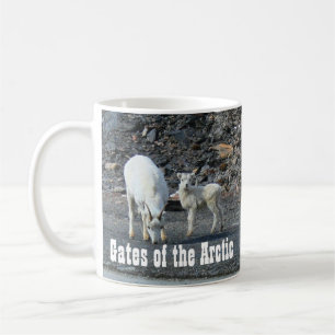 Tore der arktischen Tasse
