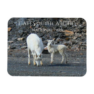 Tore des Arktischen Nationalparks Magnet