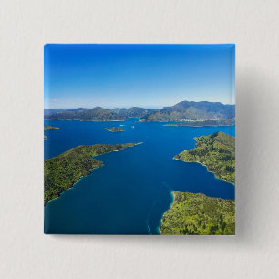 Torea Bay, Queen Charlotte Sound, Marlborough Button