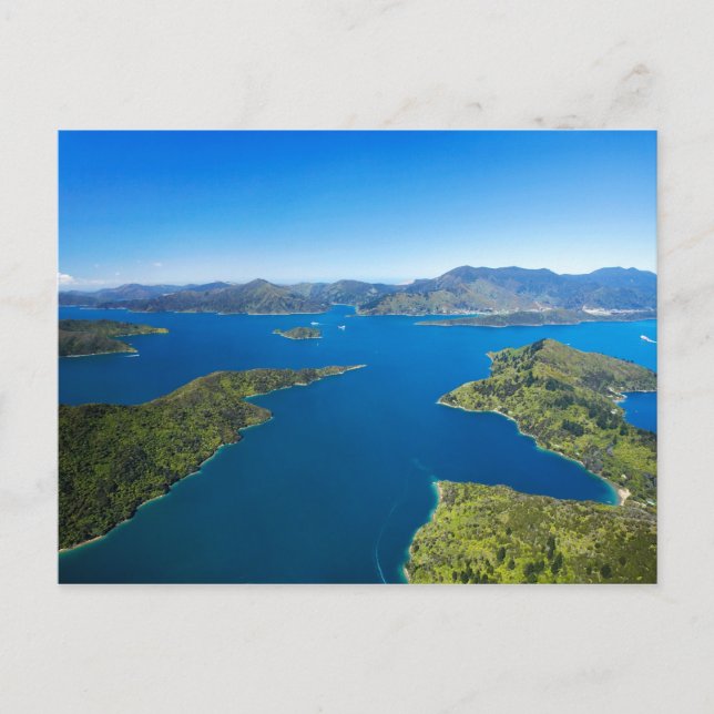 Torea Bay, Queen Charlotte Sound, Marlborough Postkarte (Vorderseite)