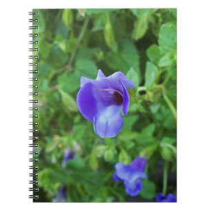 Torenia Notizblock