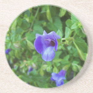 Torenia-Untersetzer Sandstein Untersetzer