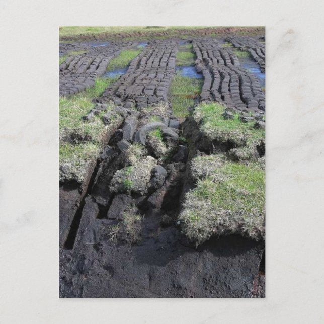 Torfschneiden in Irland Postkarte (Vorderseite)