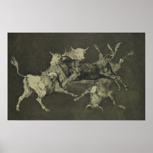 Torheit der Bullen Poster (Vorne)