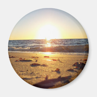 Torheit Magnet