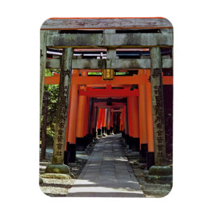 Torii Gates - Kyoto, Japan, Asien Magnet