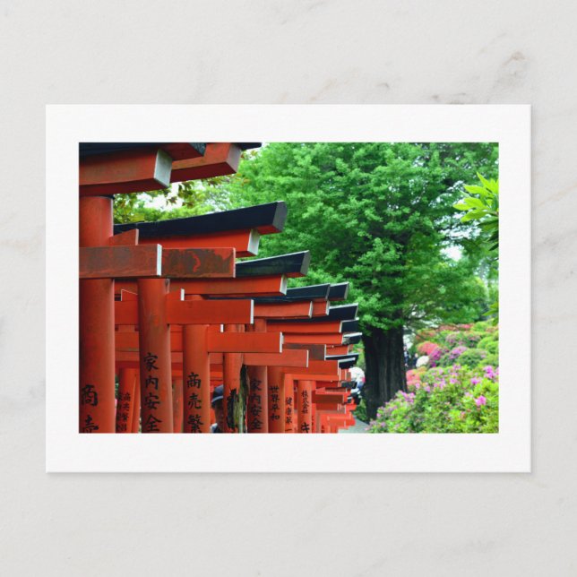 Torii Gates, Nezu Shrine: Tokio, Japan Postkarte (Vorderseite)