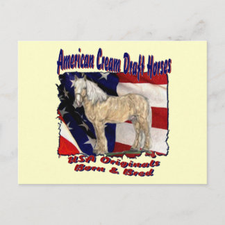 Torn Flag Creme Postcard Postkarte