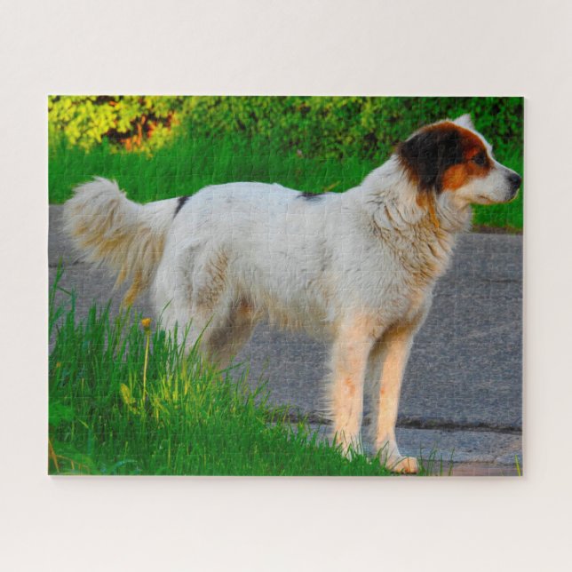 Tornjak Dog Jigsaws. Puzzle (Horizontal)