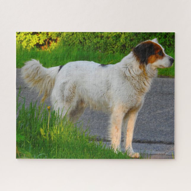 Tornjak-Hunde-Puzzles. Puzzle (Horizontal)
