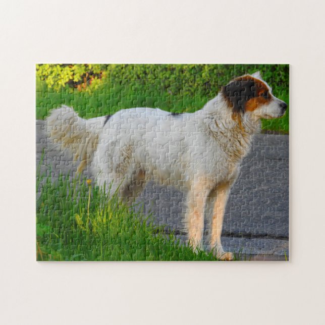 Tornjak-Hunde-Puzzles. Puzzle (Horizontal)