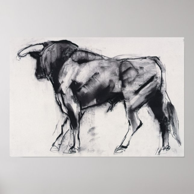 Toro Azul-Studie Poster (Vorne)