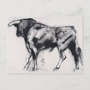 Toro Azul-Studie Postkarte