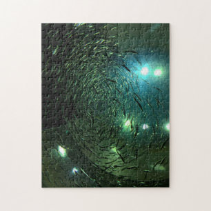 Toronto Aquarium Kanada. Puzzle