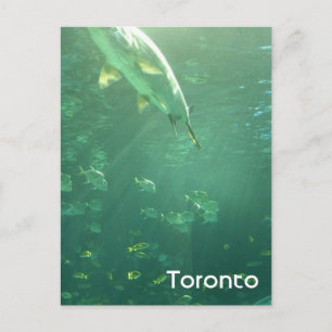 Toronto Aquarium Postcard Postkarte
