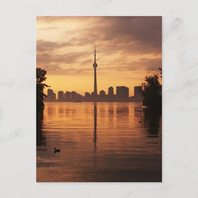 Toronto Postkarte (Vorderseite)