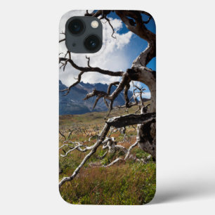 Torres del Paine National Park, fire damaged trees Case-Mate iPhone Hülle