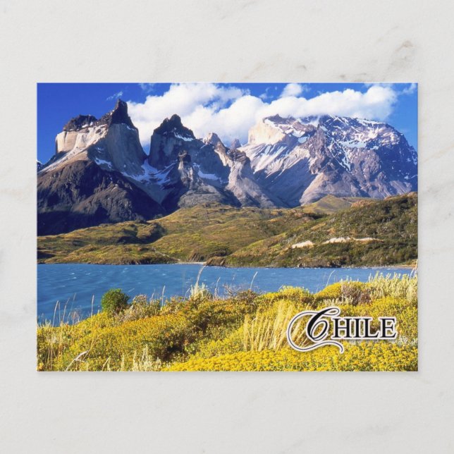 Torres del Paine Nationalpark, Chile Postkarte (Vorderseite)