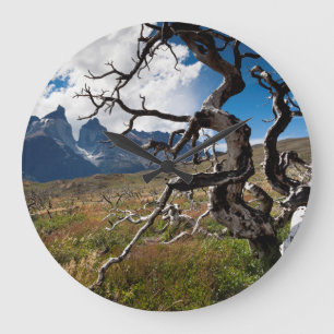 Torres del Paine Nationalpark, durch Feuer beschäd Große Wanduhr