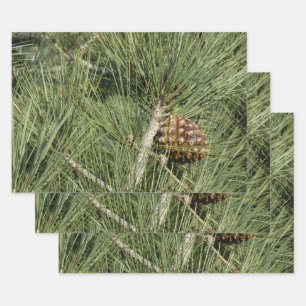 Torrey Pine Closeup California Botanical Geschenkpapier Set