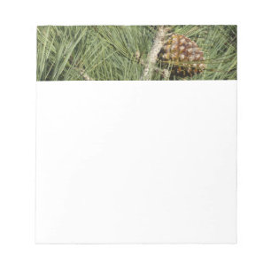 Torrey Pine Closeup California Botanical Notizblock