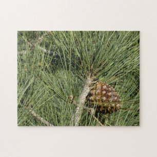 Torrey Pine Closeup California Botanical Puzzle