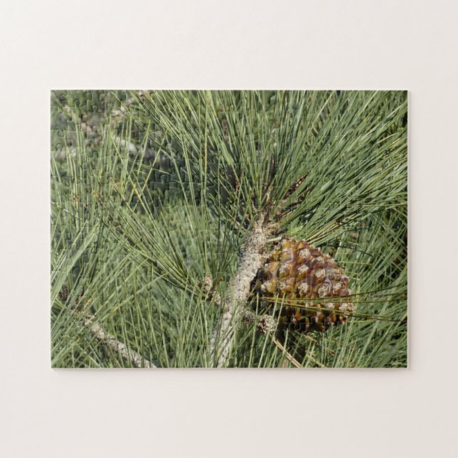 Torrey Pine Closeup California Botanical Puzzle (Horizontal)