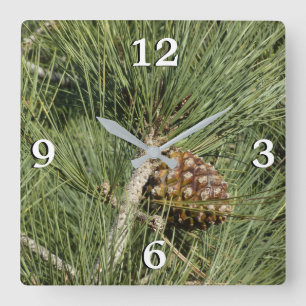 Torrey Pine Closeup California Botanical Quadratische Wanduhr