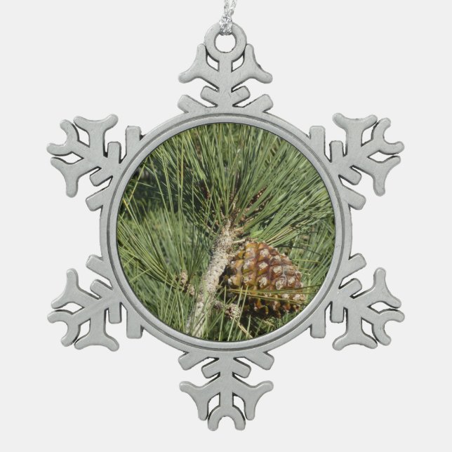 Torrey Pine Closeup California Botanical Schneeflocken Zinn-Ornament (Vorderseite)