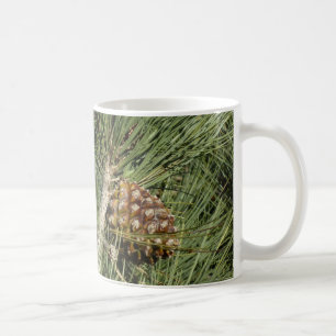 Torrey Pine Closeup California Botanical Tasse