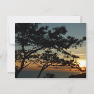 Torrey Pine Sunset I California Landschaft