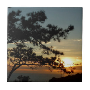 Torrey Pine Sunset I California Landschaft Fliese