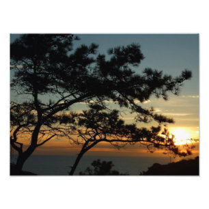 Torrey Pine Sunset I California Landschaft Fotodruck