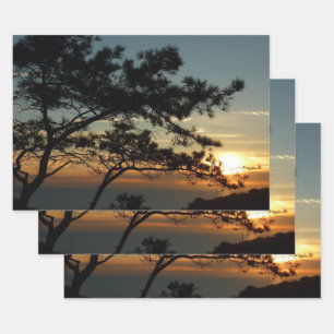 Torrey Pine Sunset I California Landschaft Geschenkpapier Set