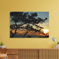 Torrey Pine Sunset I California Landschaft