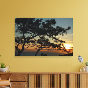 Torrey Pine Sunset I California Landschaft Leinwanddruck