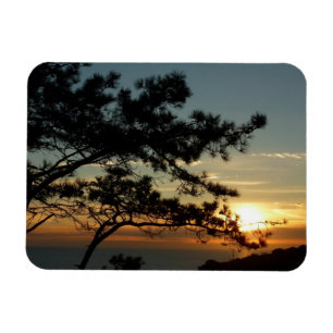 Torrey Pine Sunset I California Landschaft Magnet