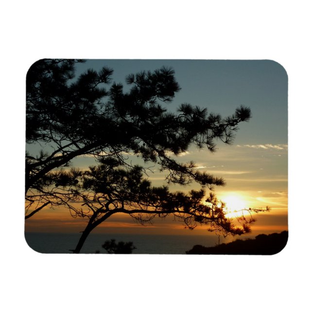 Torrey Pine Sunset I California Landschaft Magnet (Horizontal)