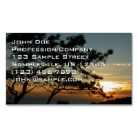 Torrey Pine Sunset I California Landschaft