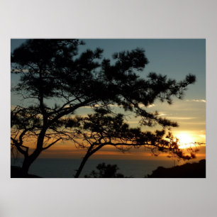 Torrey Pine Sunset I California Landschaft Poster