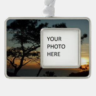 Torrey Pine Sunset I California Landschaft Rahmen-Ornament Silber