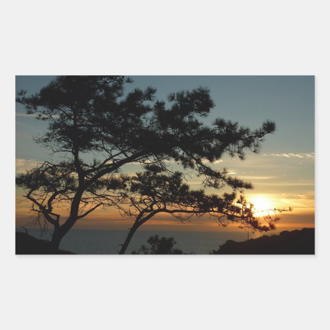 Torrey Pine Sunset I California Landschaft Rechteckiger Aufkleber (Vorderseite)