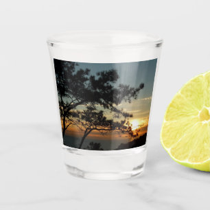 Torrey Pine Sunset I California Landschaft Schnapsglas