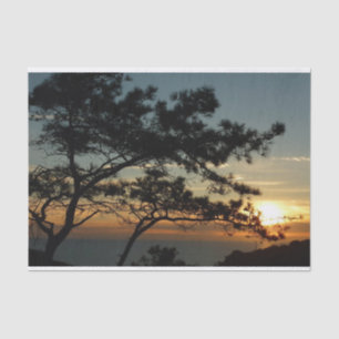 Torrey Pine Sunset I California Landschaft Seidenpapier