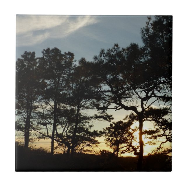 Torrey Pine Sunset II Kalifornien Landschaft Fliese (Vorderseite)