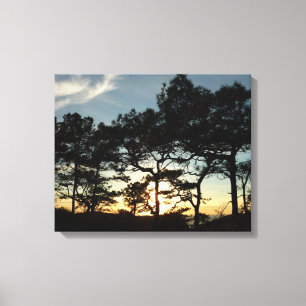 Torrey Pine Sunset II Kalifornien Landschaft Leinwanddruck