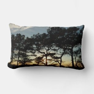 Torrey Pine Sunset II Kalifornien Landschaft Lendenkissen