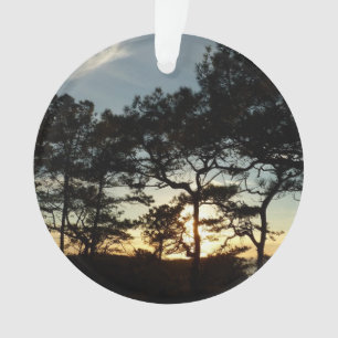 Torrey Pine Sunset II Kalifornien Landschaft Ornament