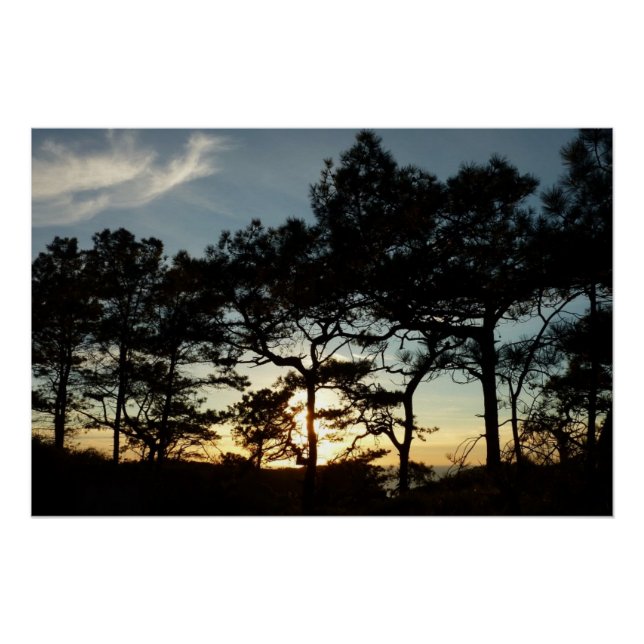 Torrey Pine Sunset II Kalifornien Landschaft Poster (Vorderseite)